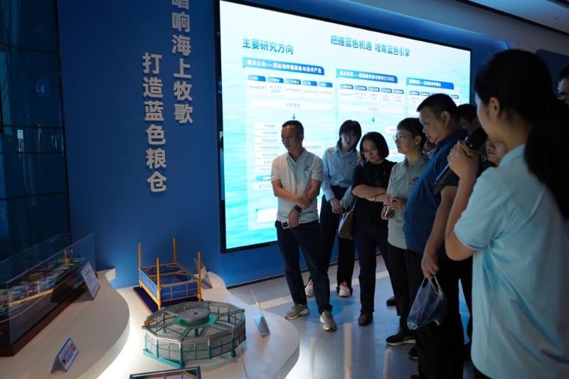 2025022113222715930 欧陆(注册平台)-科技赋能场景,让娱乐更有趣