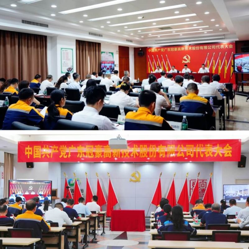中国共产党欧陆平台代表大会成功召开